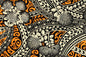 PAC1492 Maize
