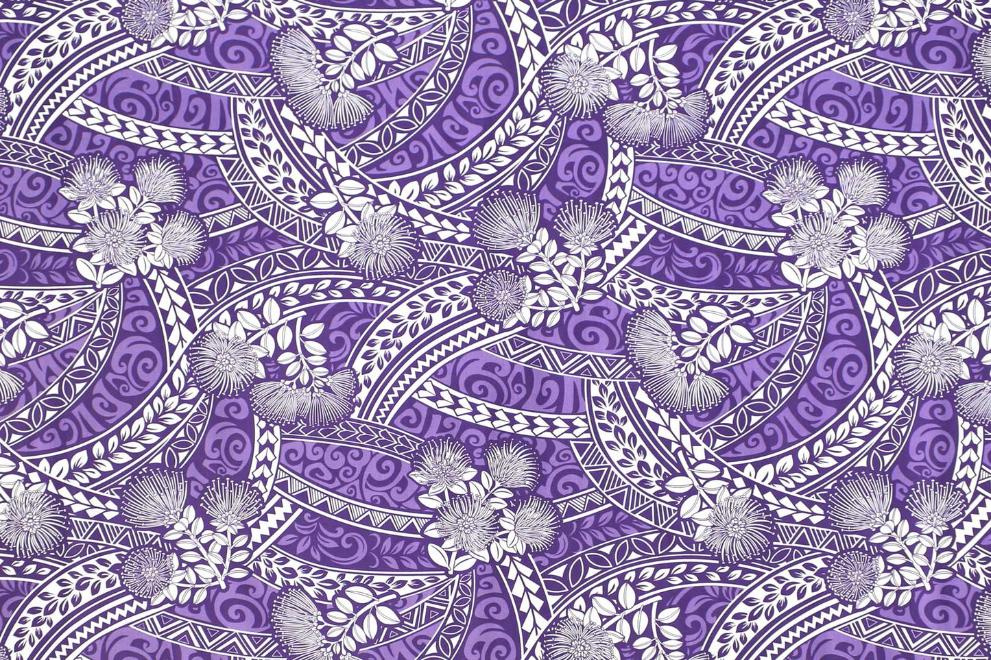 PAC1492 Purple
