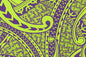 PAC1494 Green/Purple