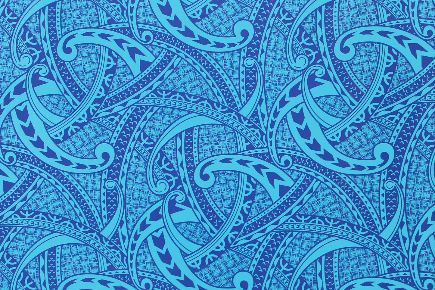 PAC1494 Turquoise/Royal