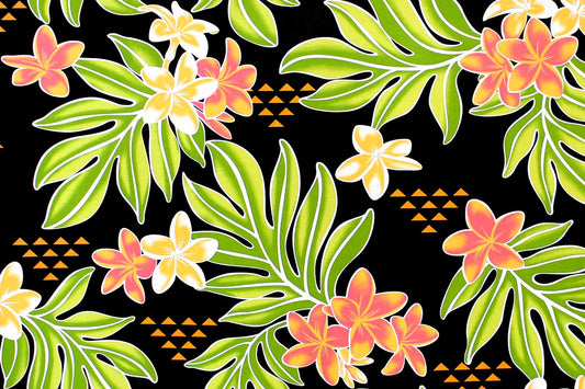 PAC1495 Black