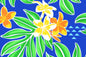 PAC1495 Blue