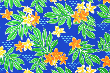 PAC1495 Blue