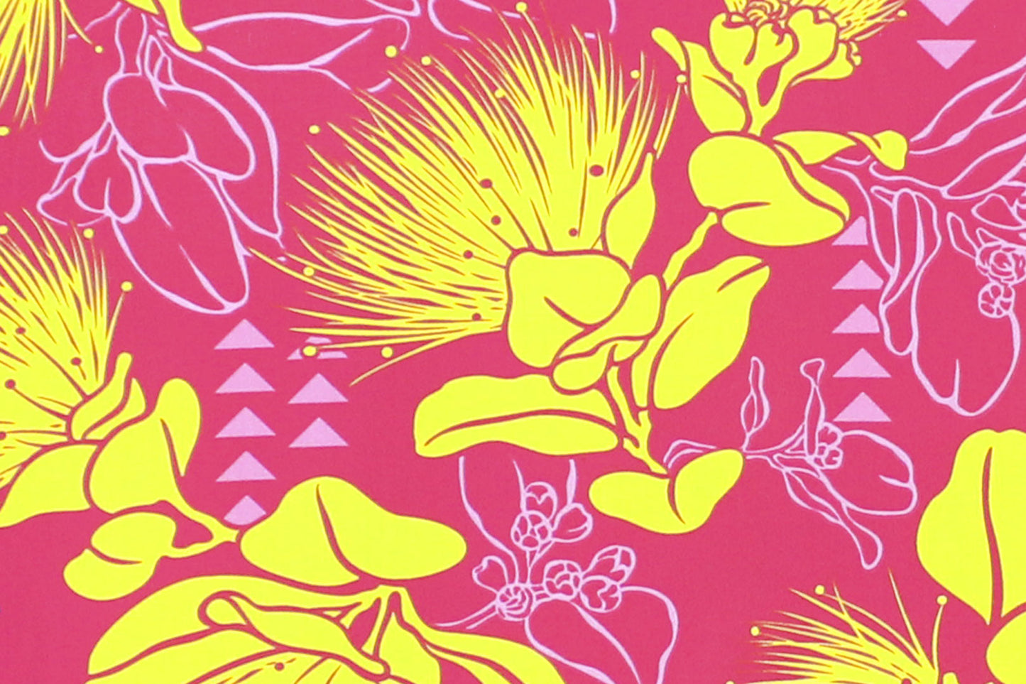 PAC1496 Fuchsia