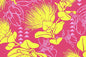 PAC1496 Fuchsia
