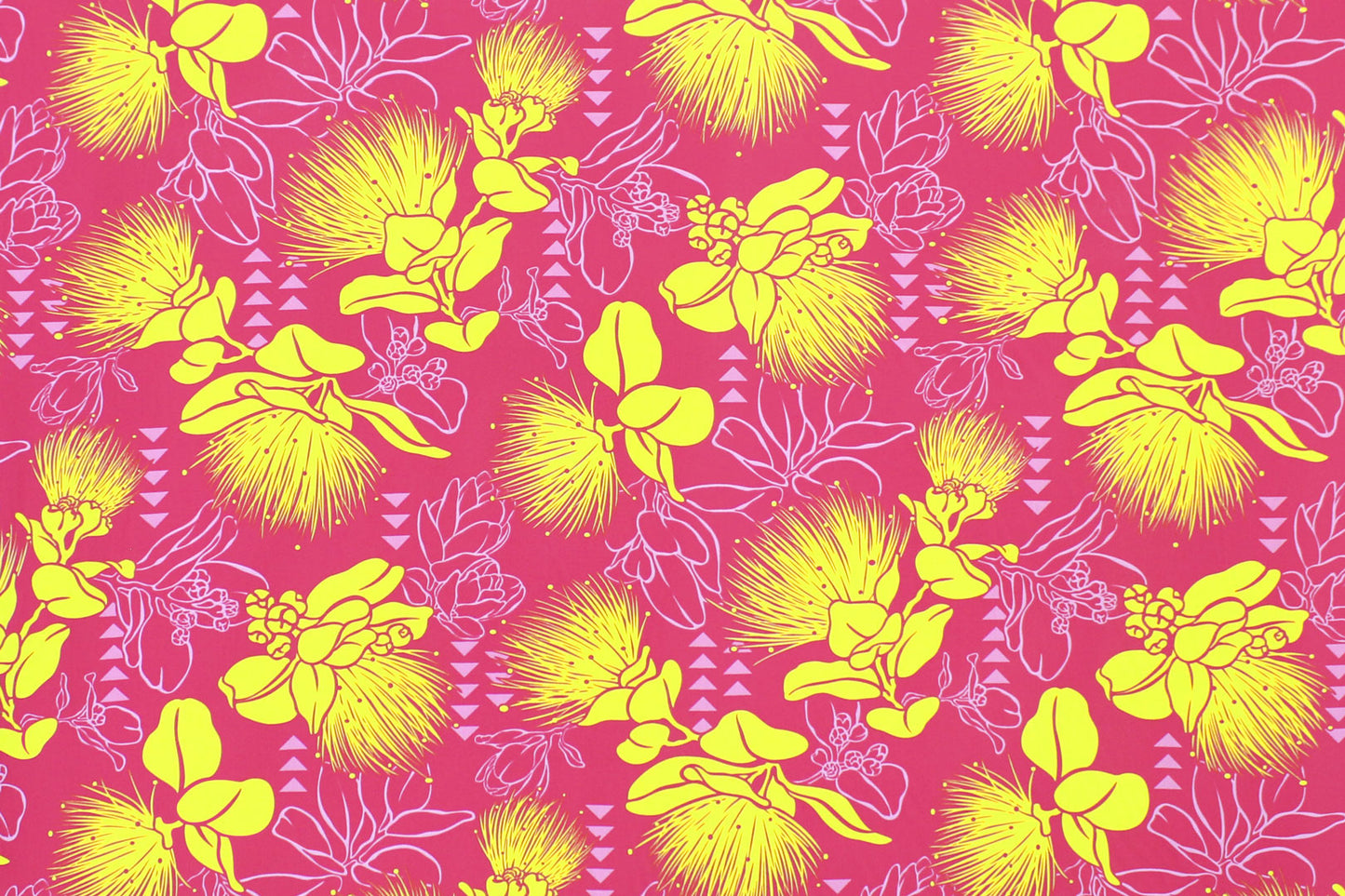 PAC1496 Fuchsia