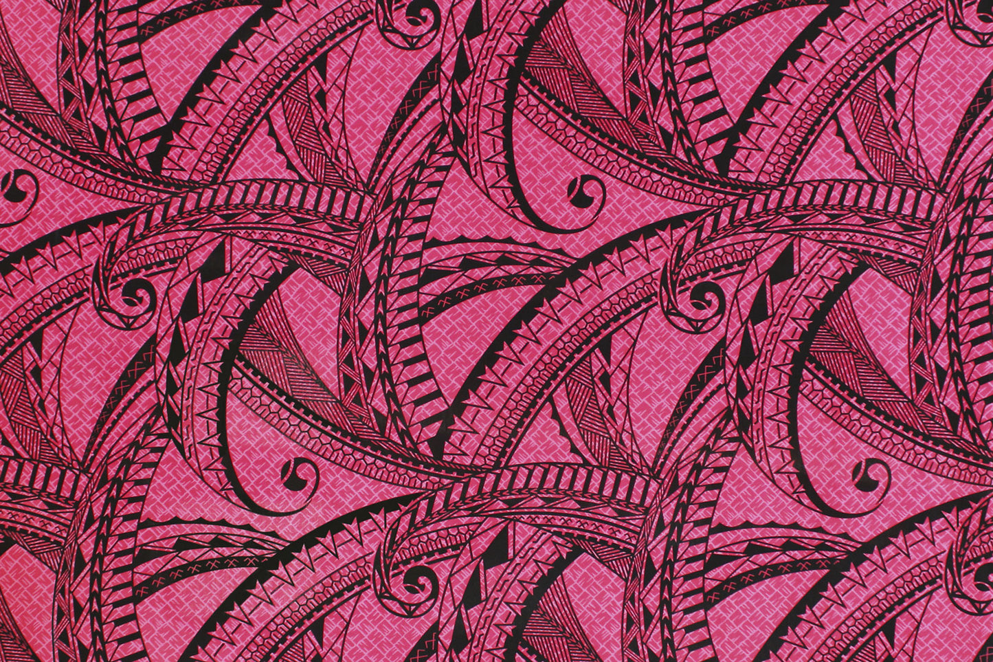 PAC1497 Fuchsia