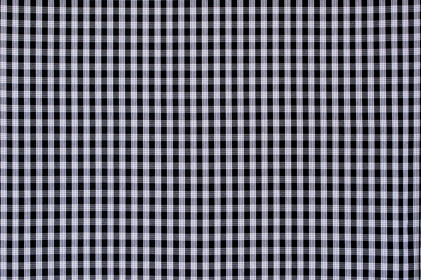 PALAKA Black