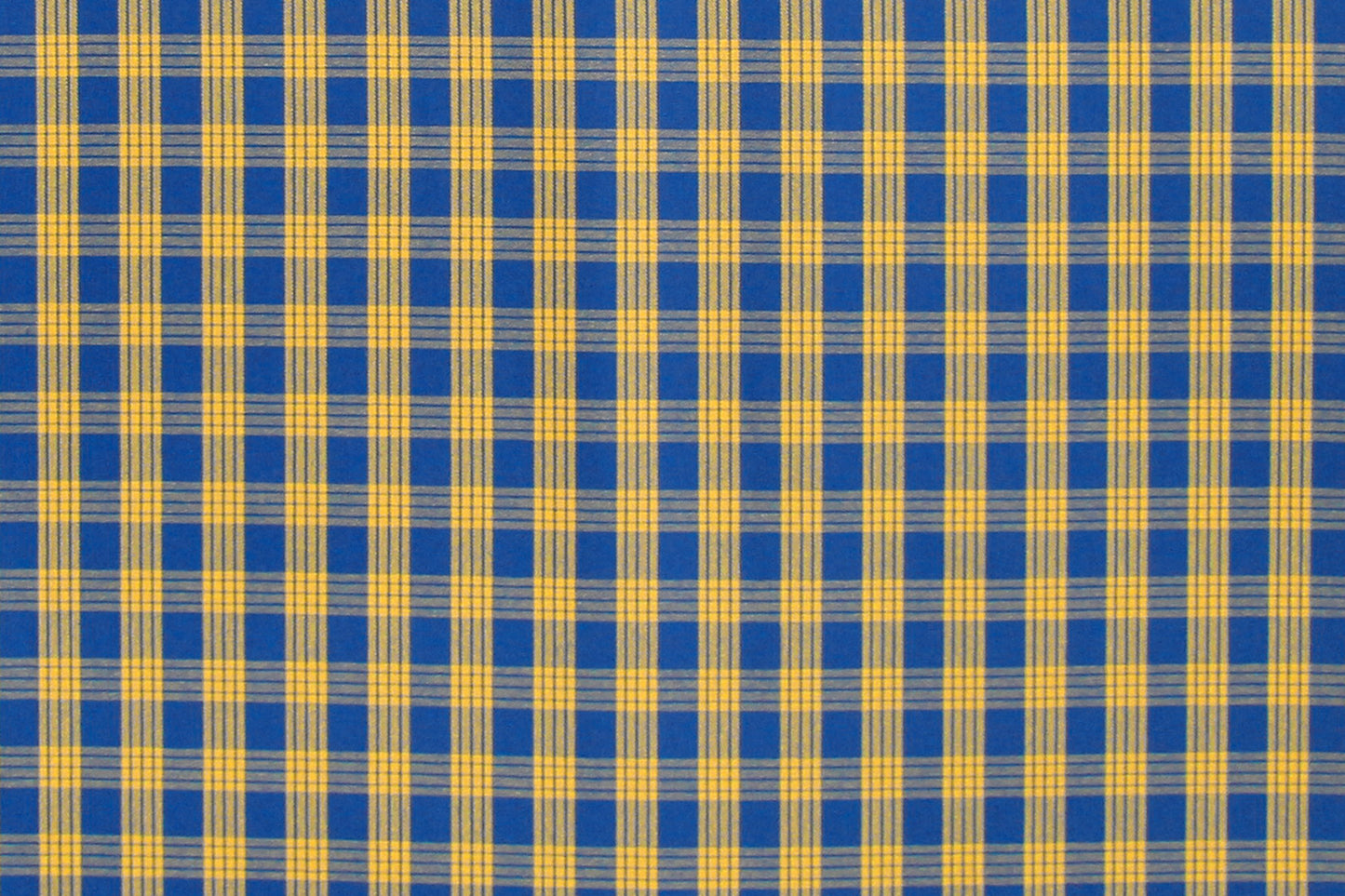 PALAKA Blue/Yellow