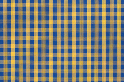 PALAKA Blue/Yellow