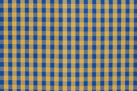 PALAKA Blue/Yellow