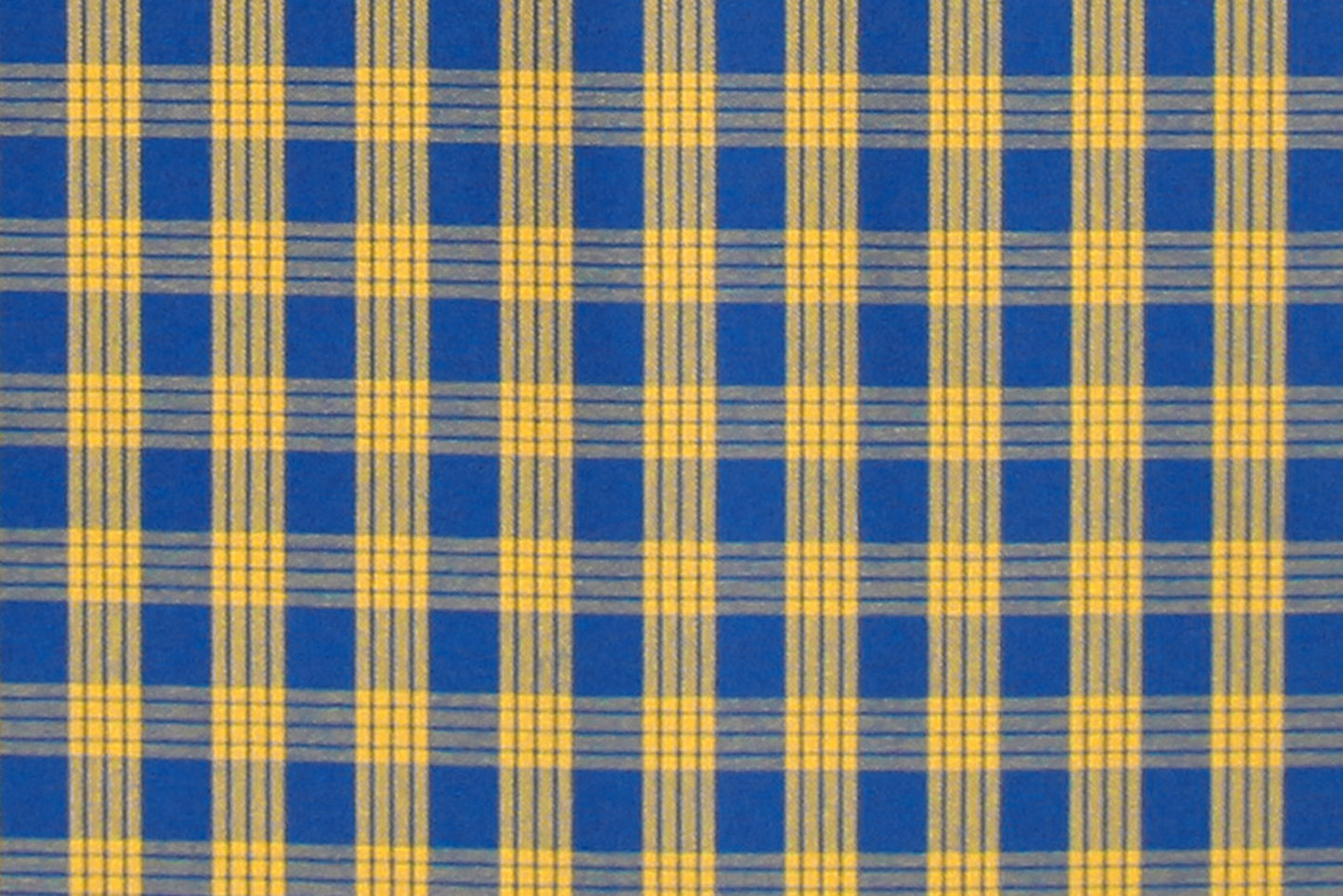 PALAKA Blue/Yellow
