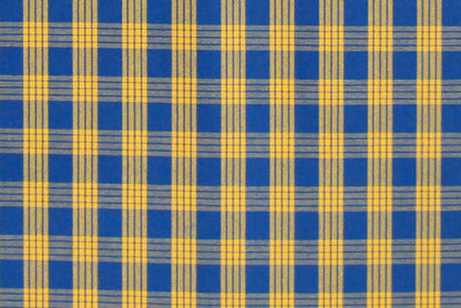 PALAKA Blue/Yellow