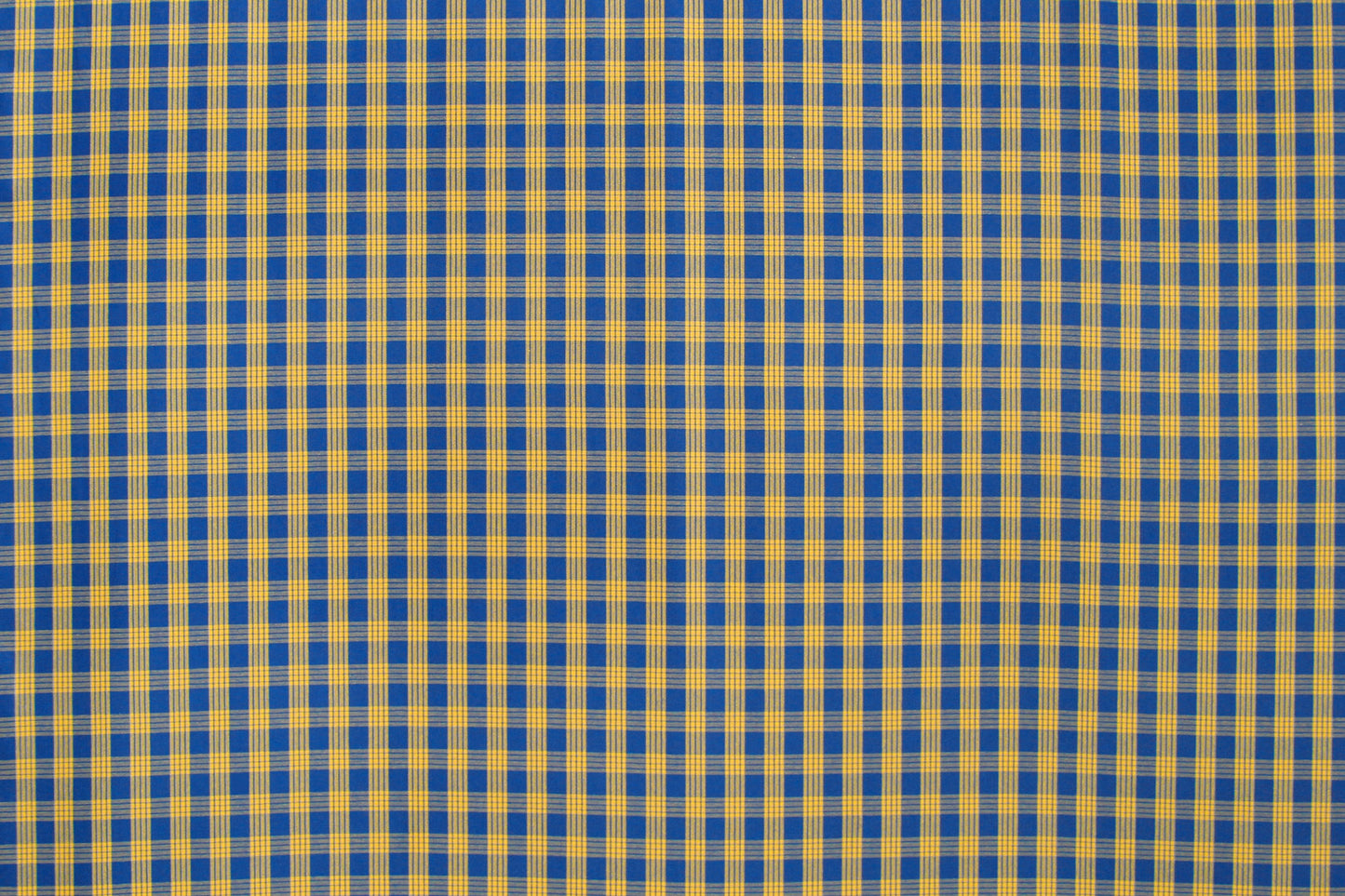 PALAKA Blue/Yellow
