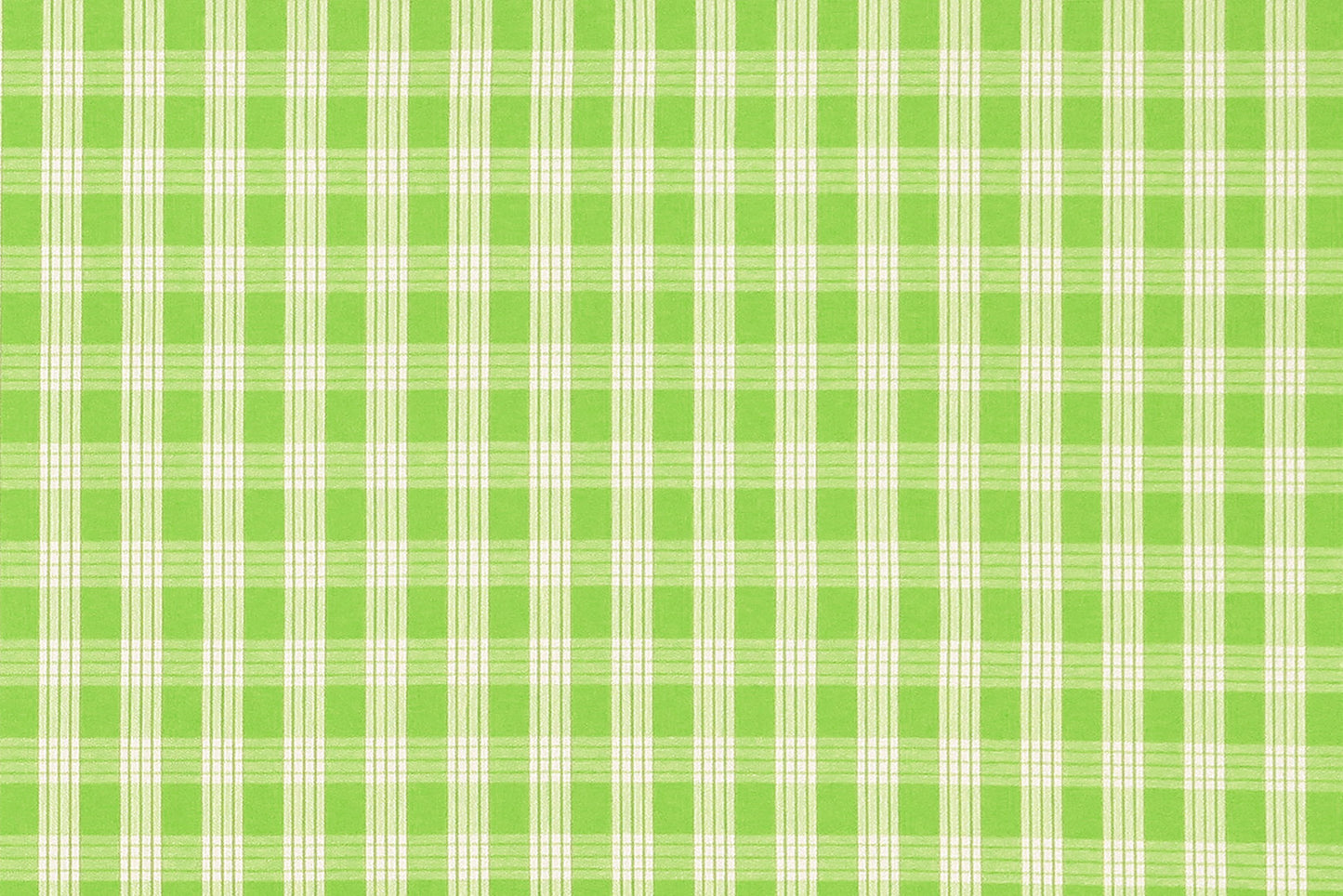 PALAKA Bright Green