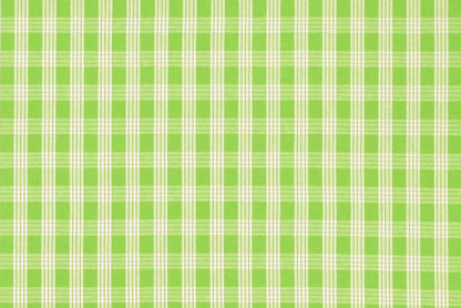 PALAKA Bright Green