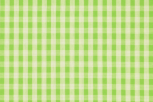 PALAKA Bright Green