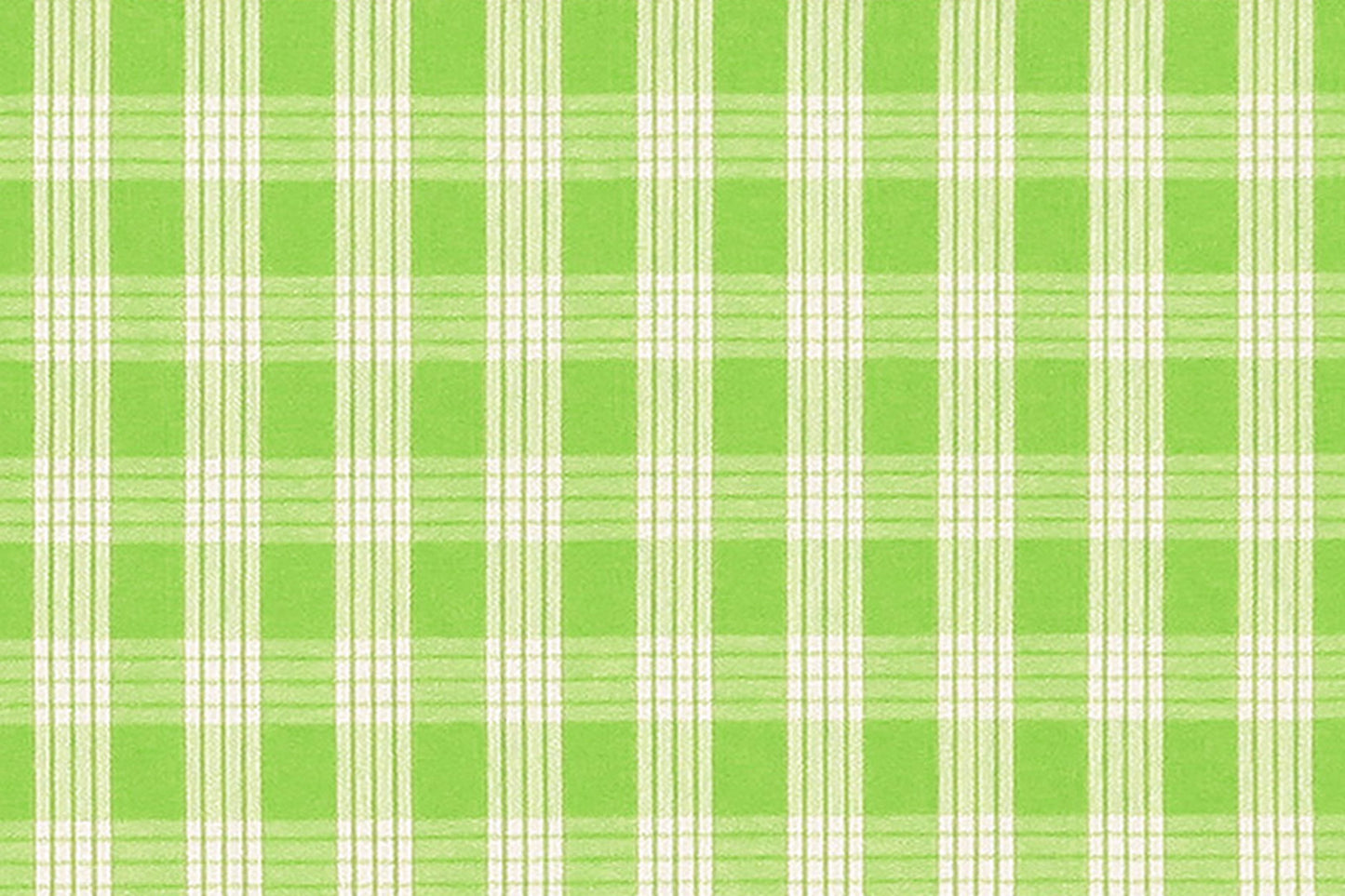 PALAKA Bright Green