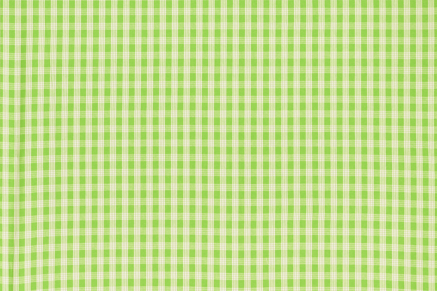 PALAKA Bright Green