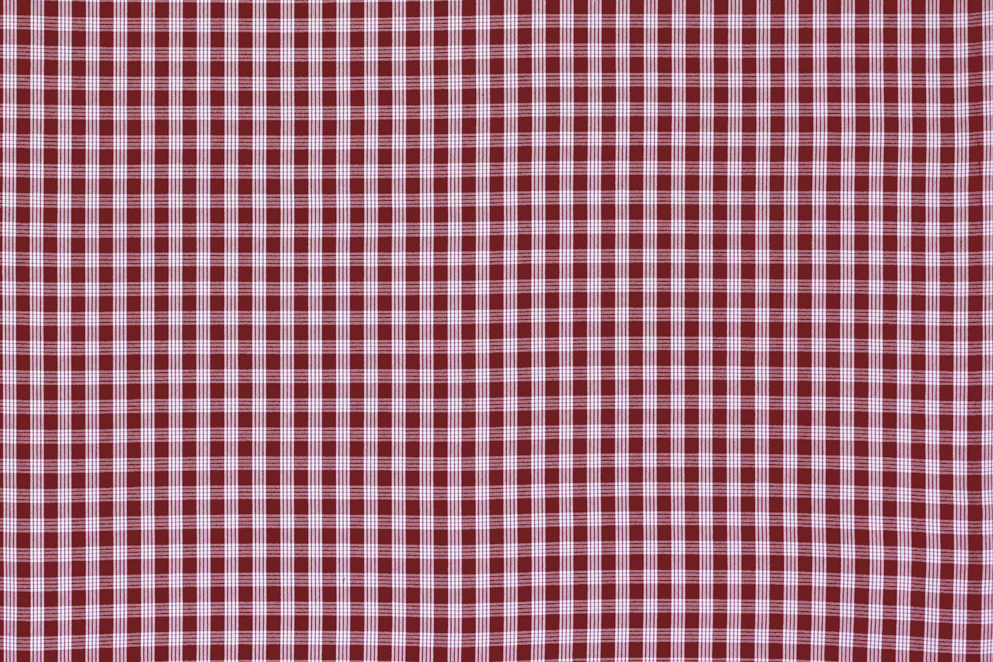 PALAKA Burgundy