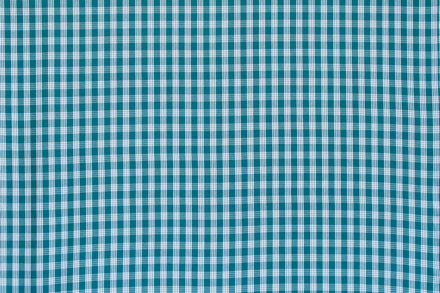 PALAKA Dark Teal