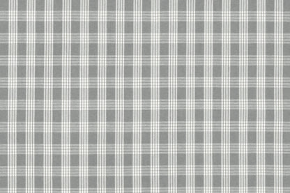 PALAKA Gray