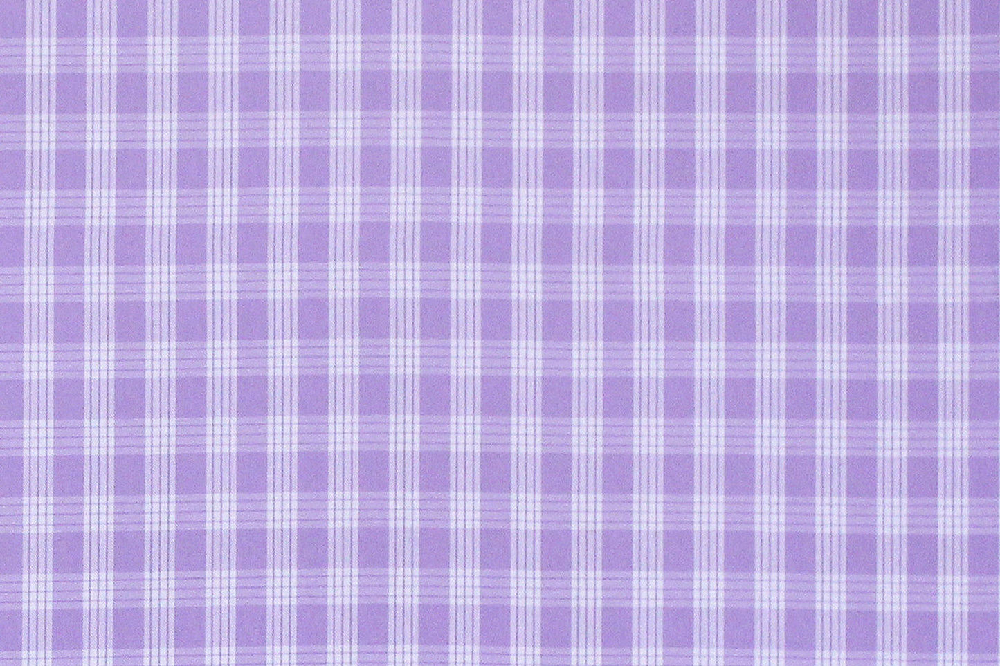 PALAKA Lavender