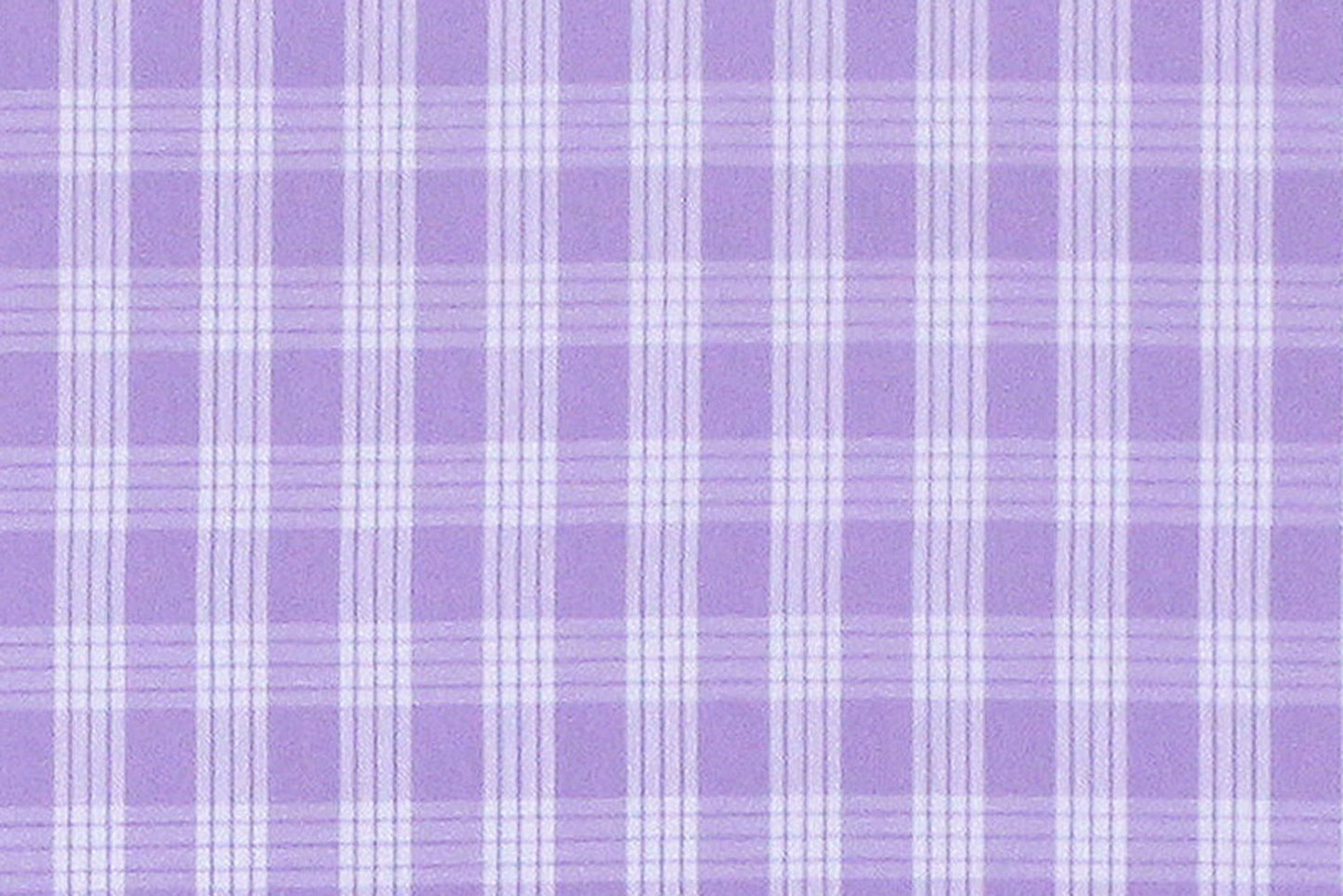 PALAKA Lavender