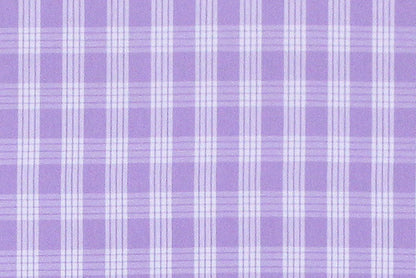 PALAKA Lavender