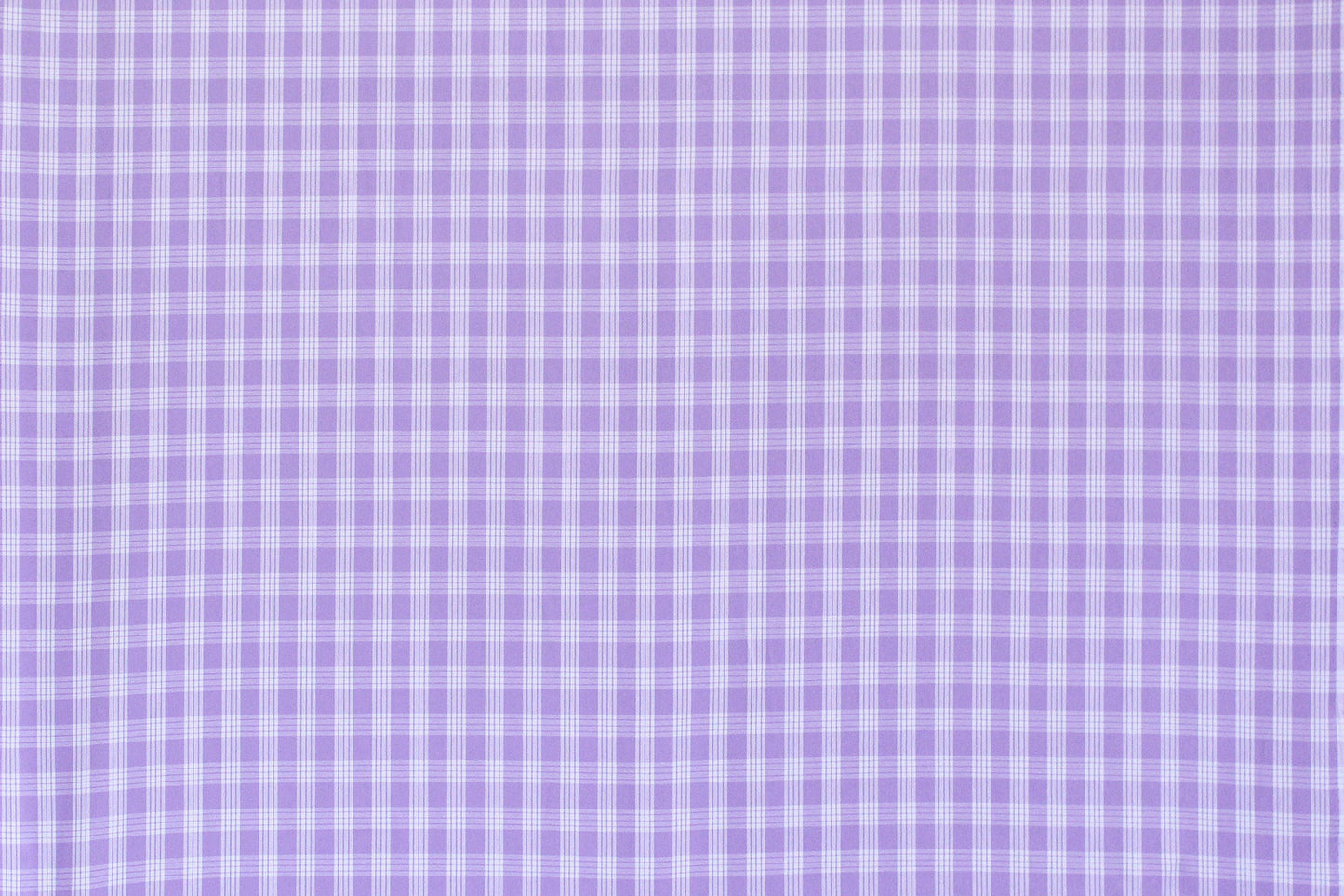 PALAKA Lavender