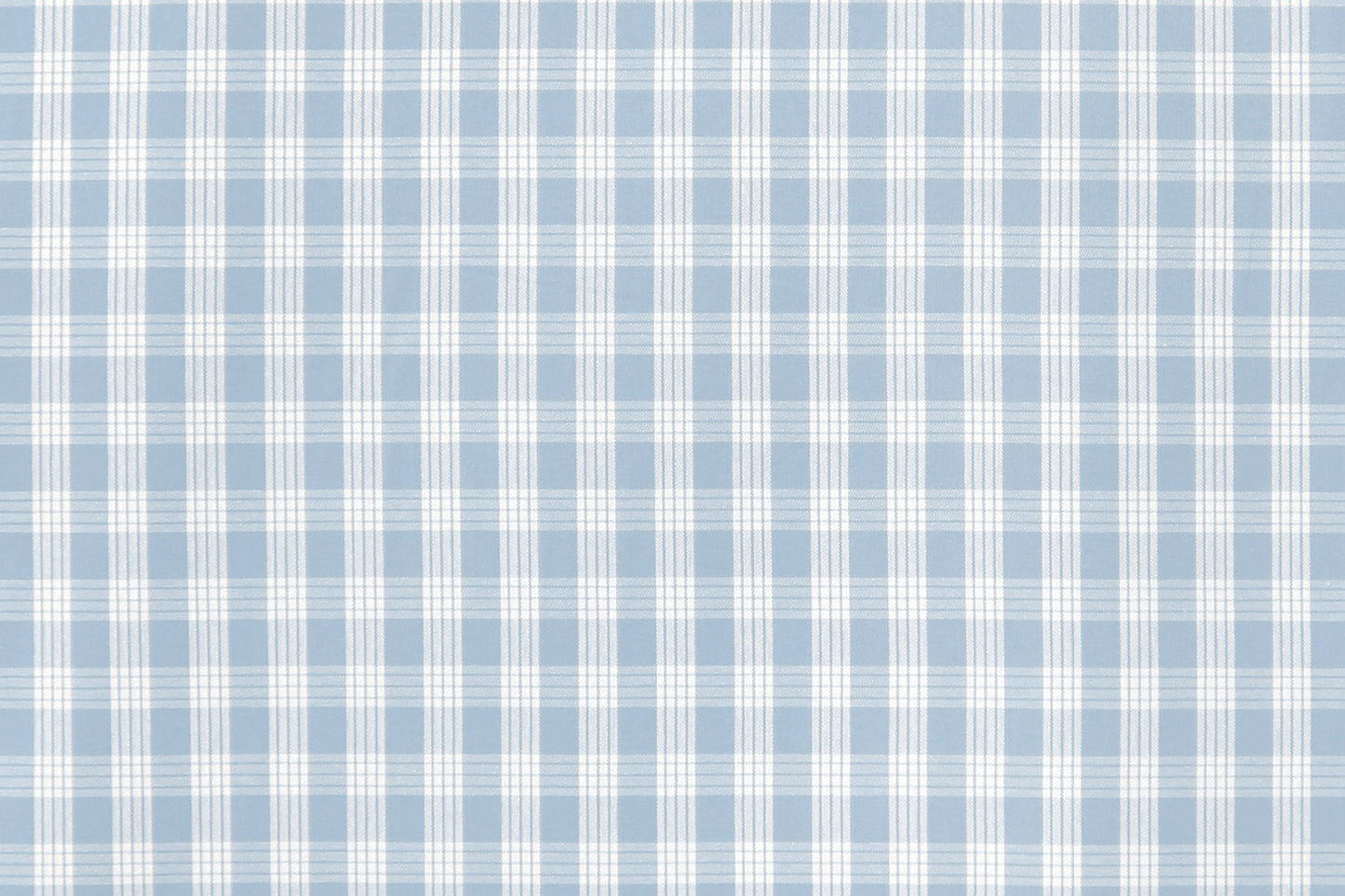 PALAKA Light Blue