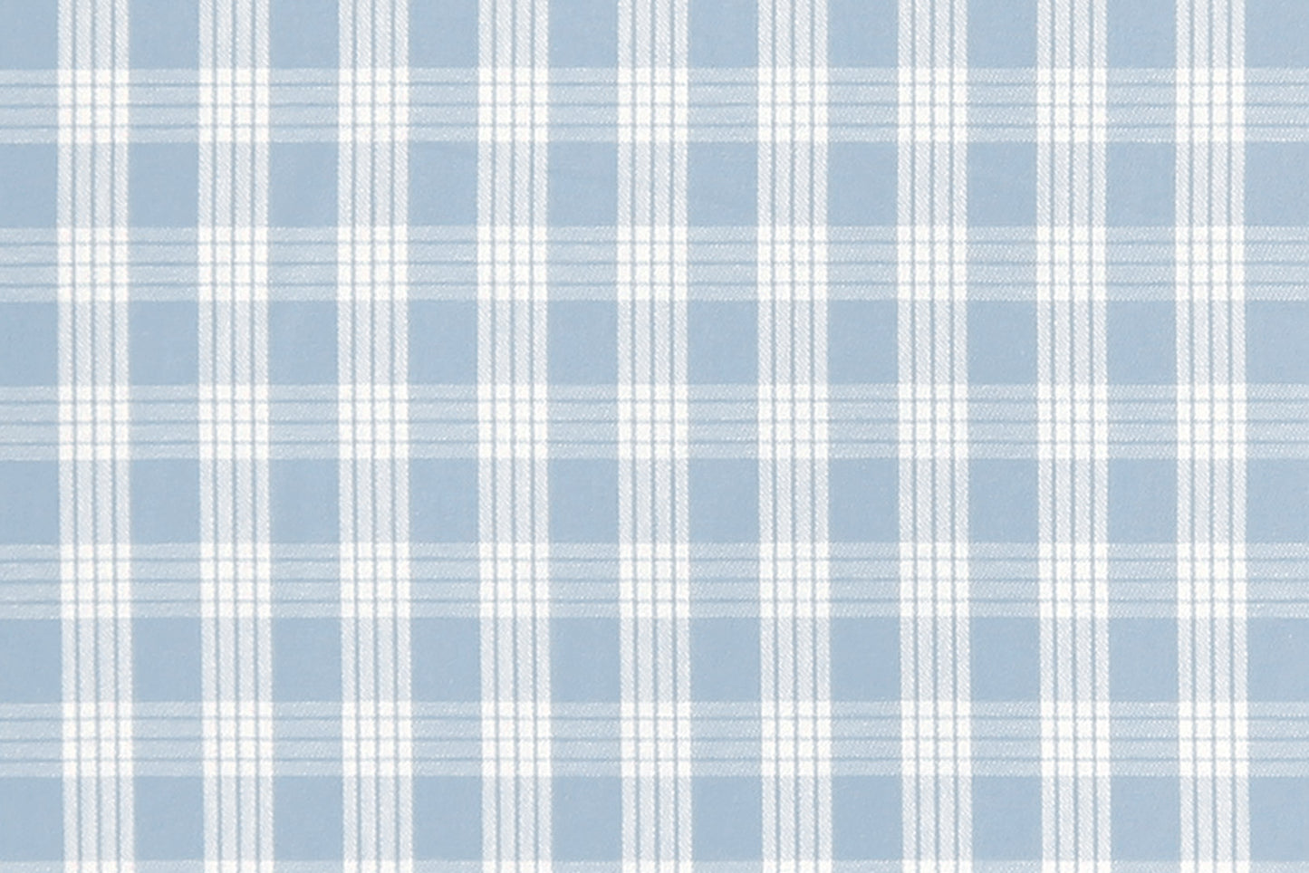PALAKA Light Blue