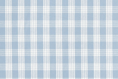 PALAKA Light Blue