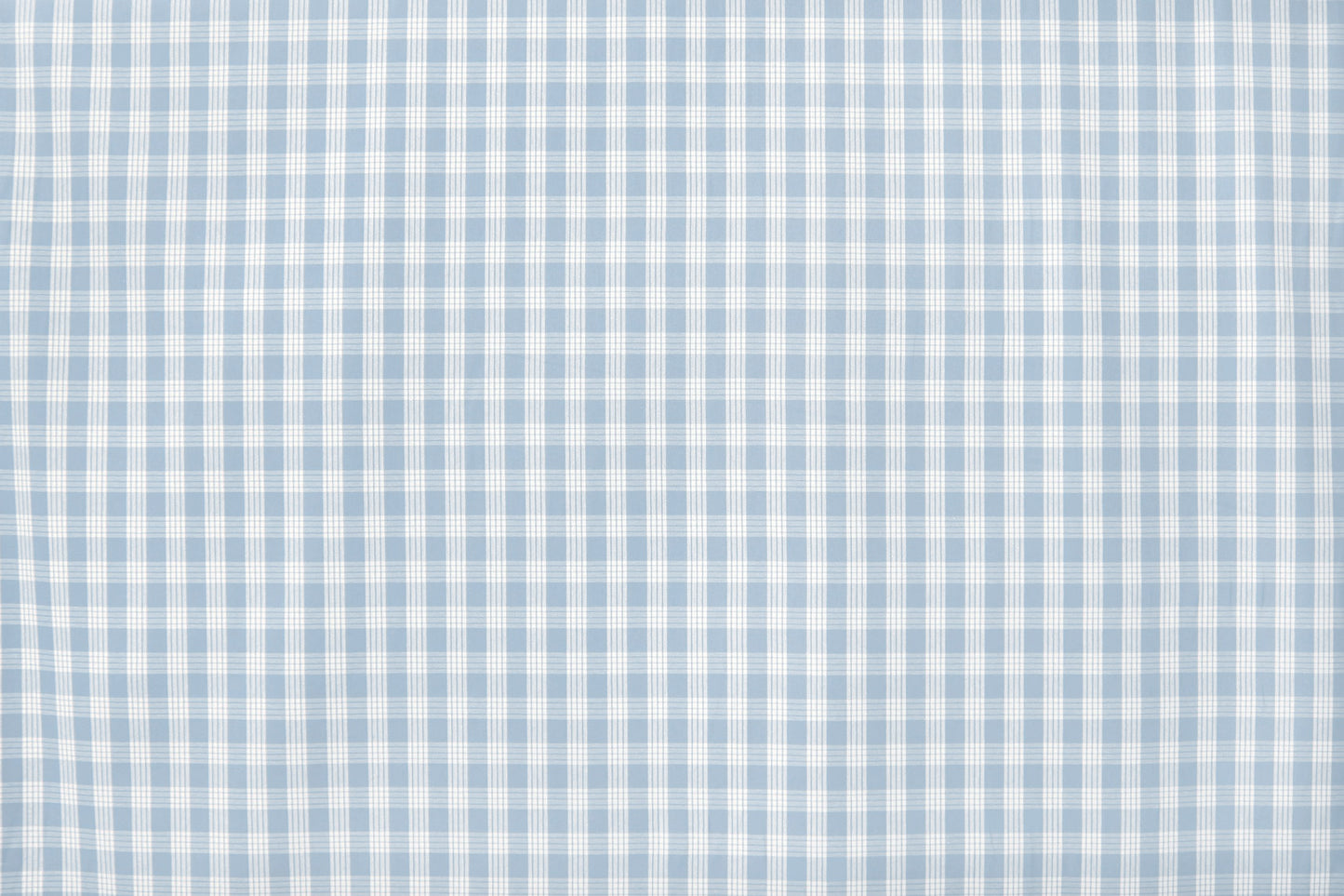 PALAKA Light Blue