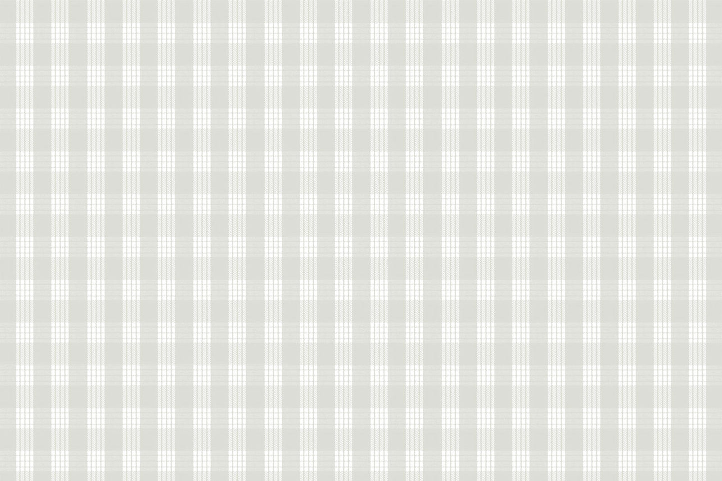 PALAKA Light Grey
