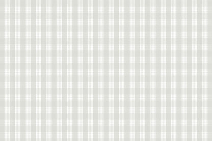 PALAKA Light Grey