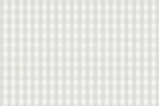 PALAKA Light Grey