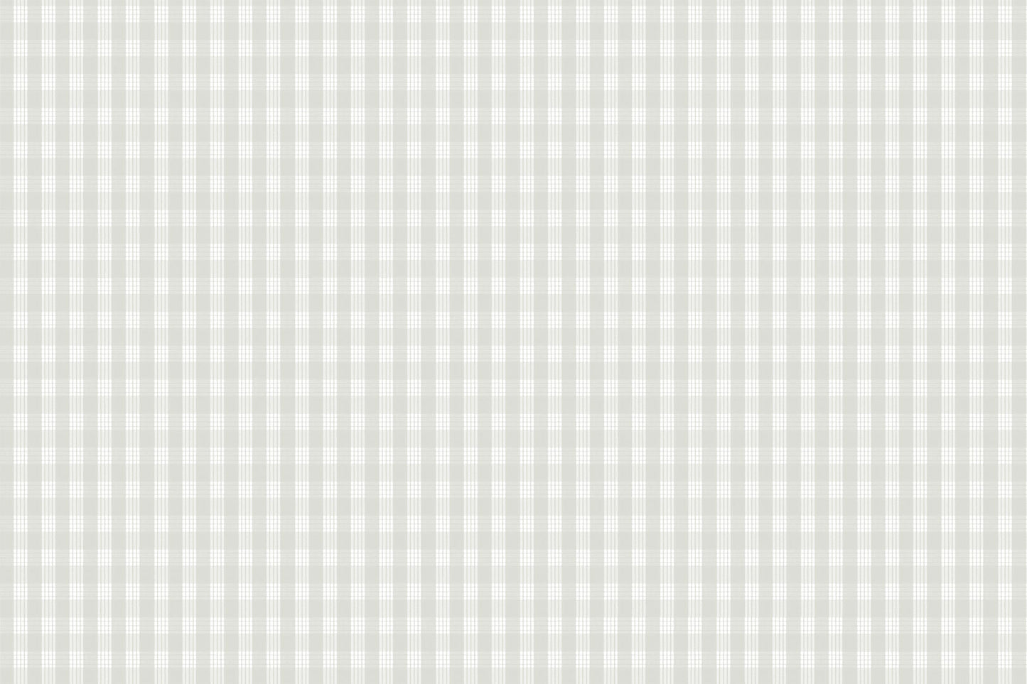 PALAKA Light Grey