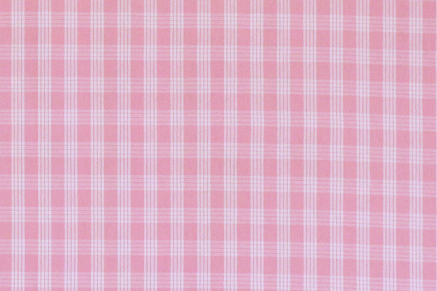 PALAKA Light Pink