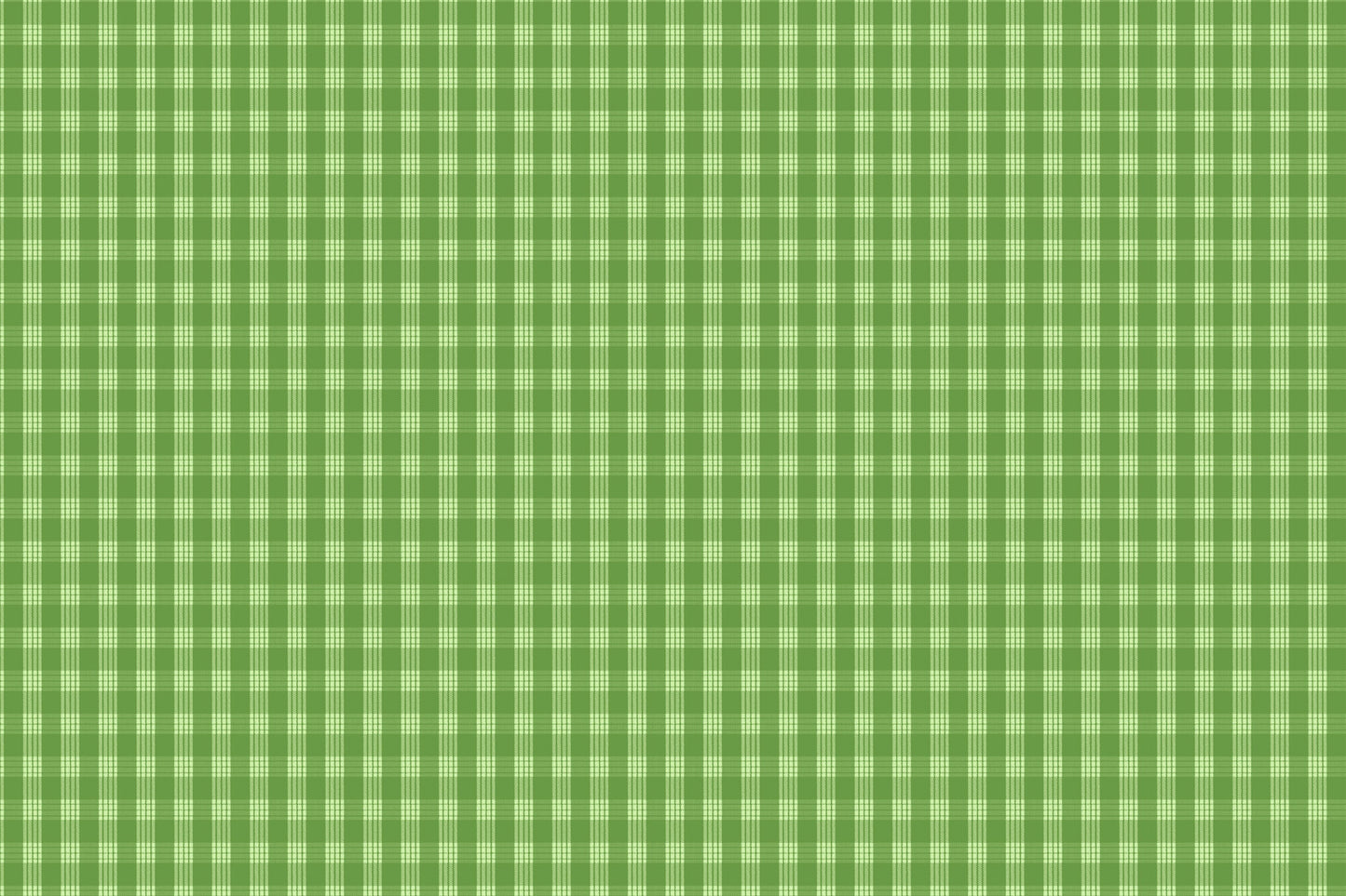 PALAKA Moss