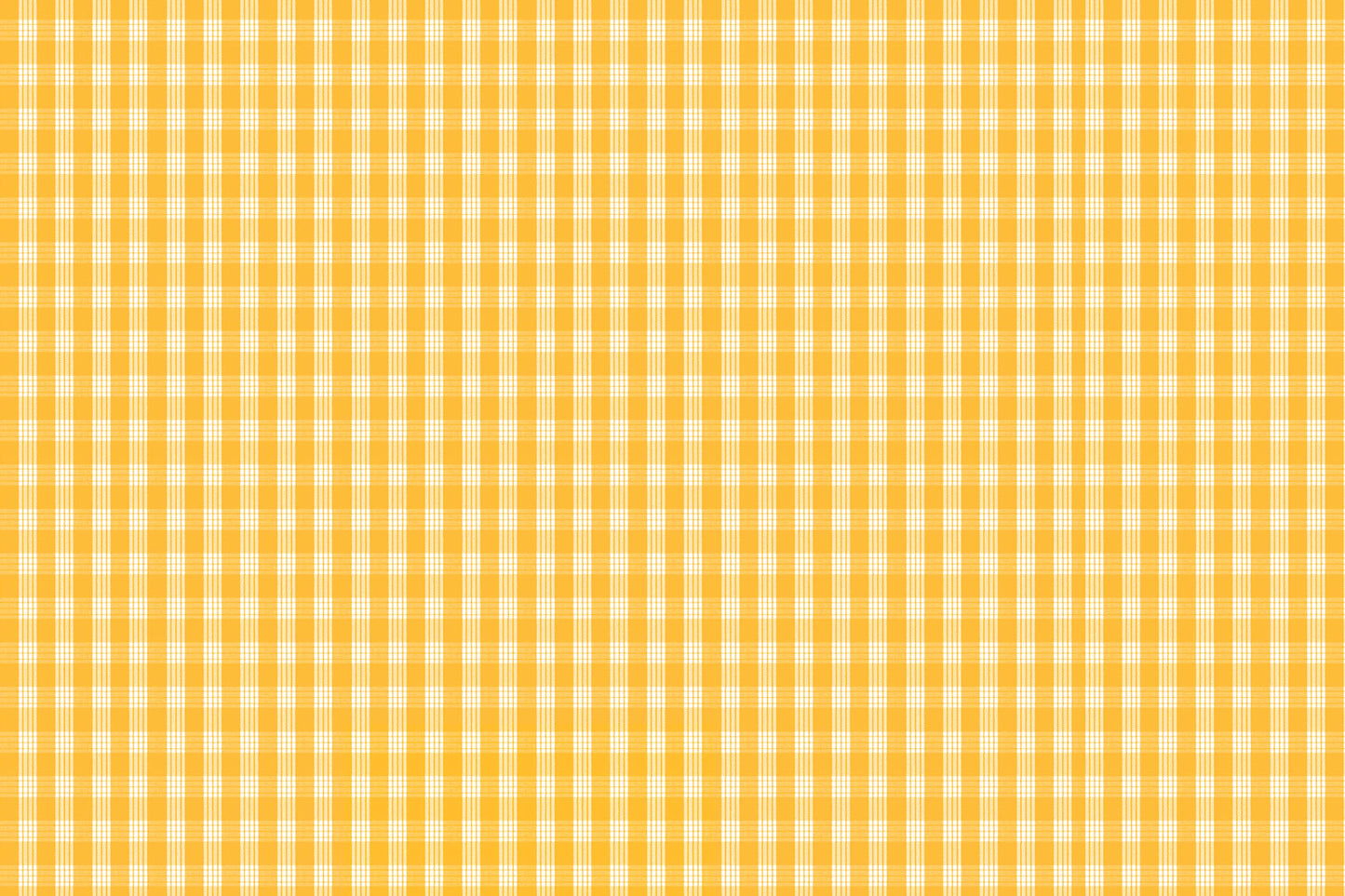 PALAKA Mustard