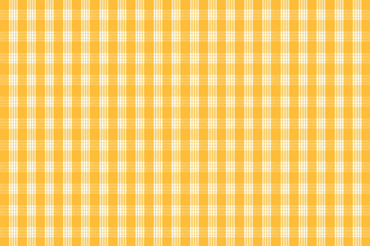 PALAKA Mustard