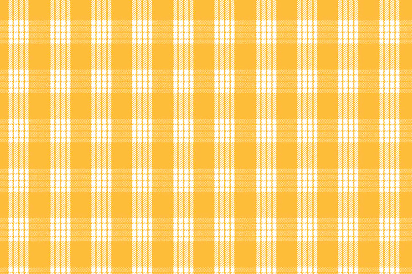 PALAKA Mustard