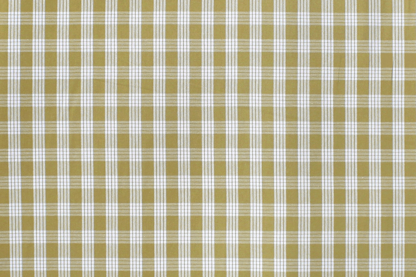 PALAKA Olive