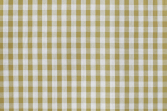 PALAKA Olive