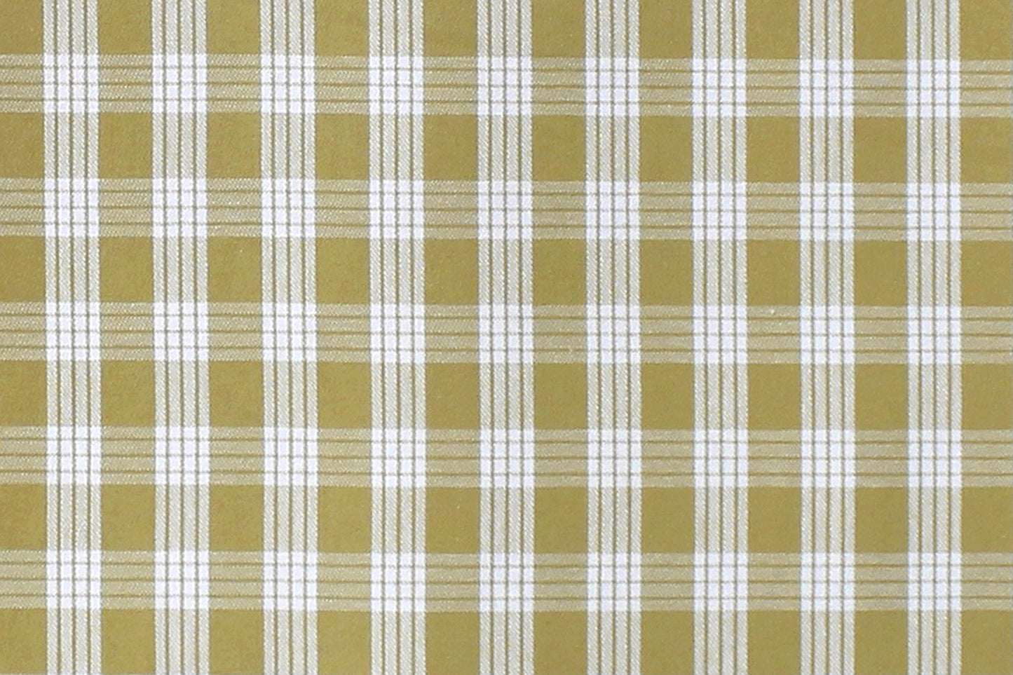PALAKA Olive