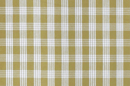 PALAKA Olive
