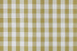 PALAKA Olive