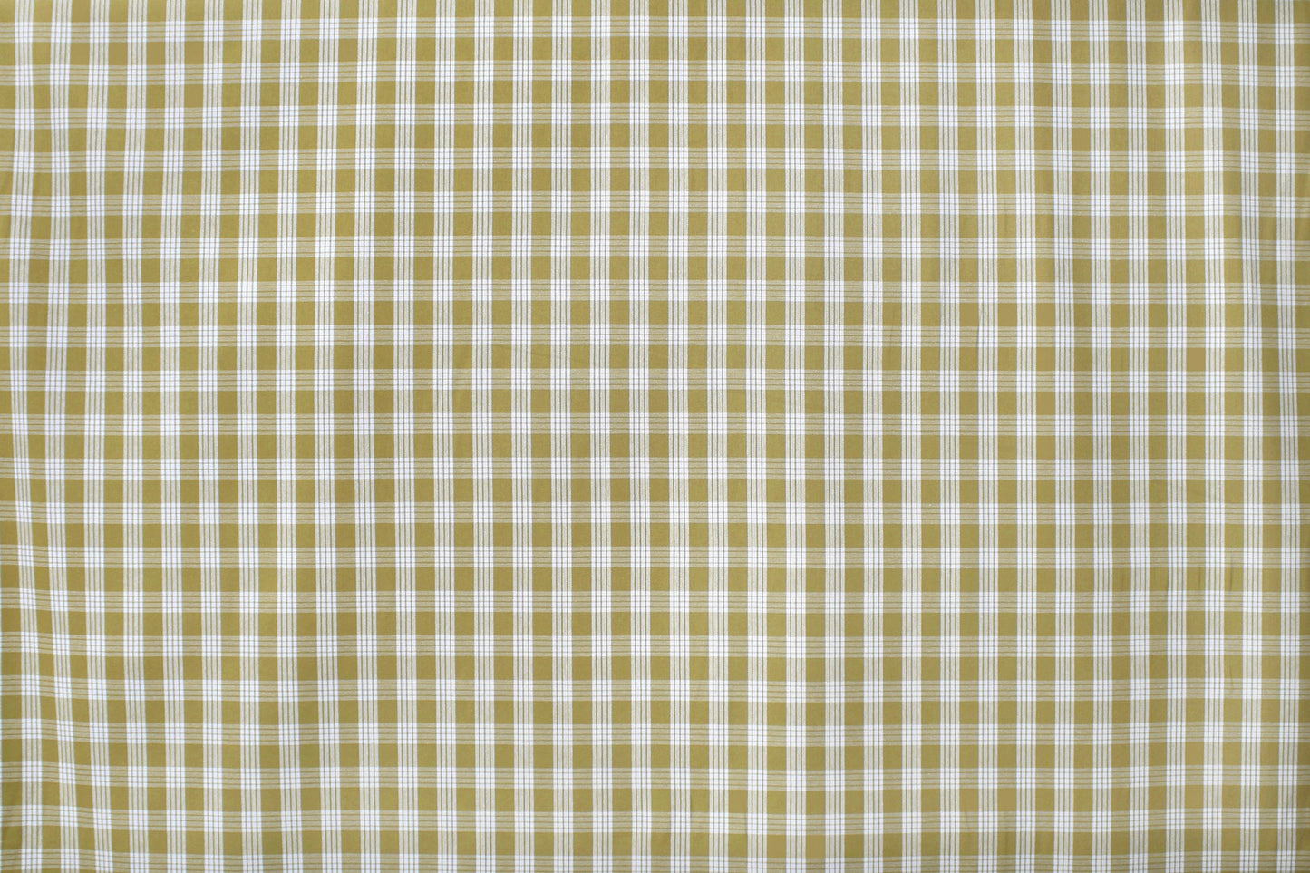 PALAKA Olive