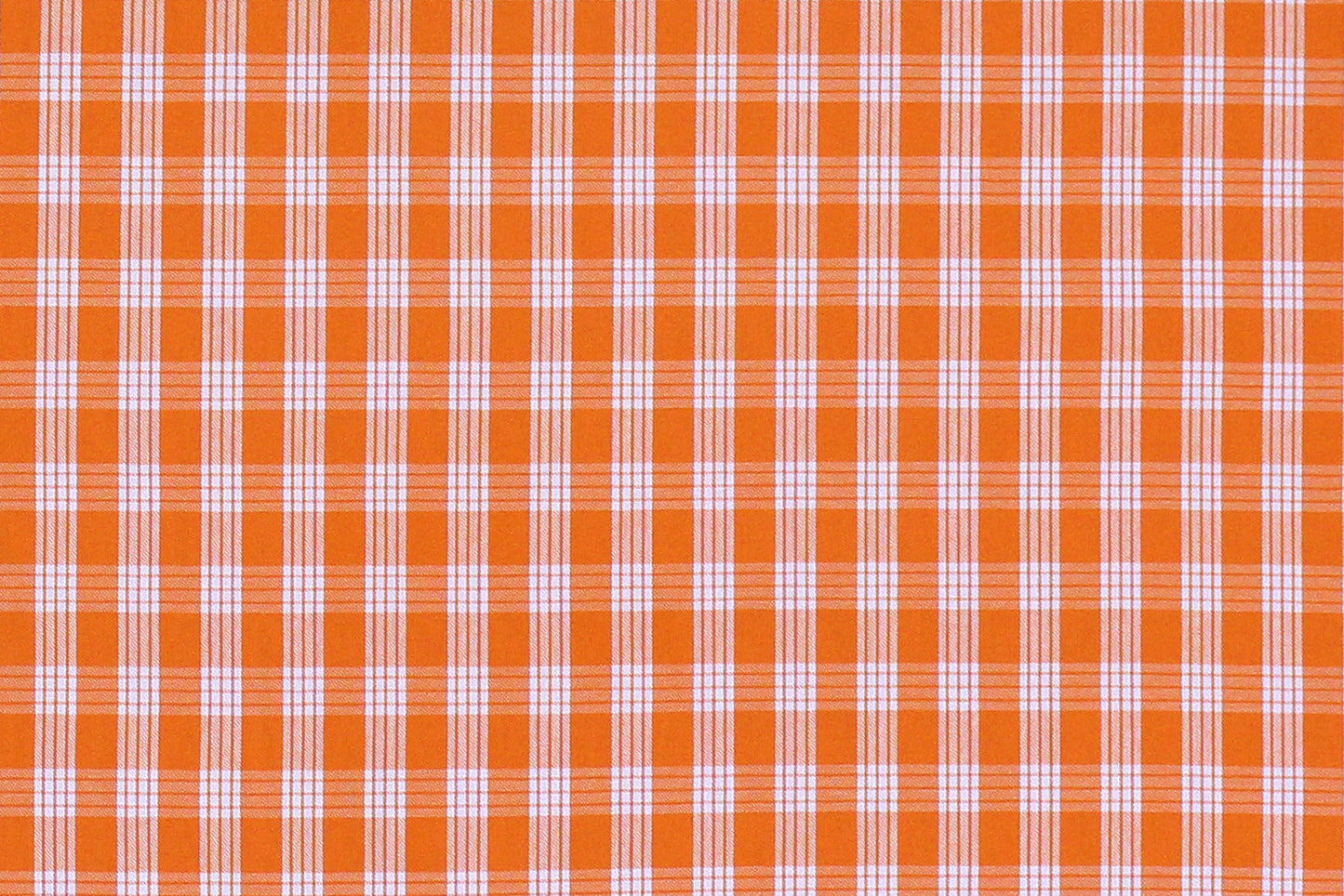 PALAKA Orange